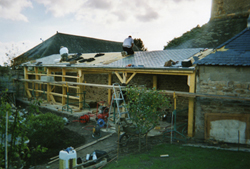 Image Title 8