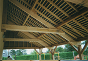 Image Title 9