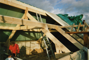 Image Title 10